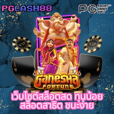 premium gold สล็อต